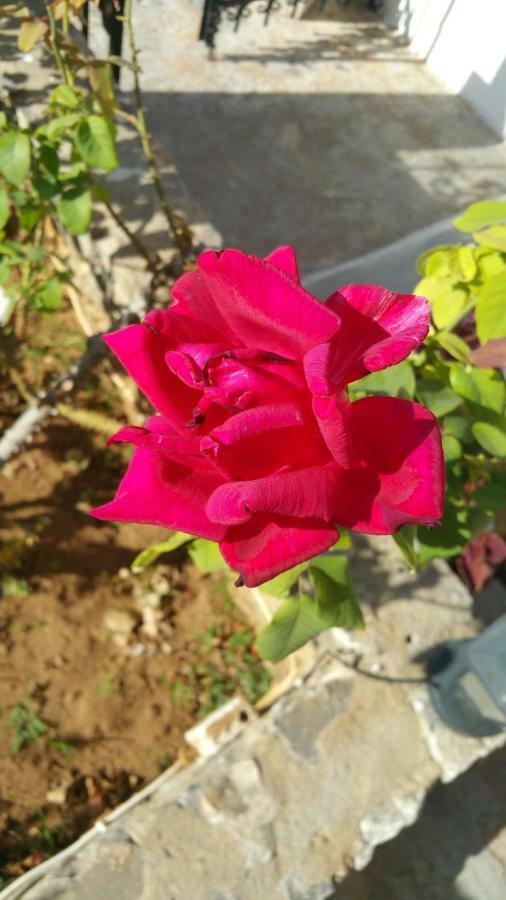 אגיה רומלי Panorama Rooms מראה חיצוני תמונה